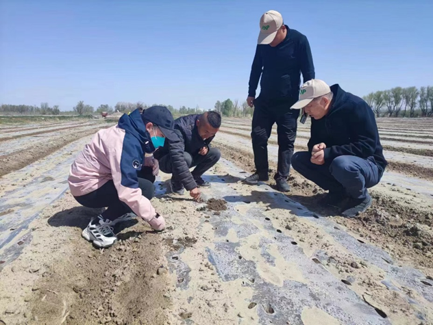 “三抓三促”行動進(jìn)行時 | 篤行不怠勇?lián)?dāng)　砥礪奮進(jìn)正當(dāng)時 —— 武威市敦煌種業(yè)種子有限公司“三抓三促”行動紀(jì)實(shí)